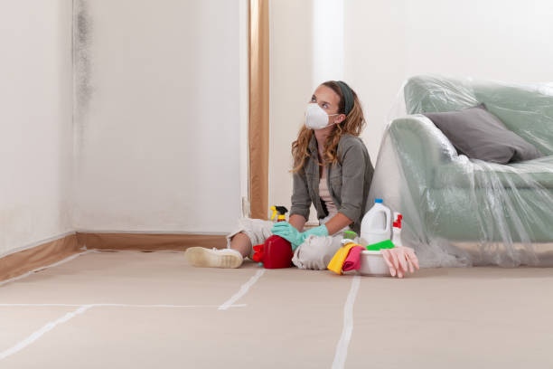 Reliable Mold Cleanup contractor in Odenton, MD by WQB Mold Removal